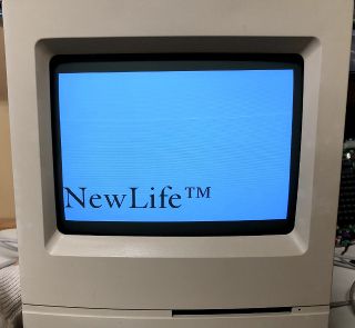 NewLife Logo on Reboot